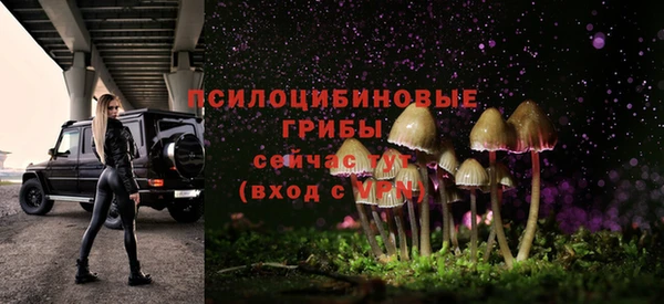 гашиш Абаза