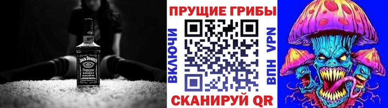 купить наркотики цена  Калач  Галлюциногенные грибы Psilocybe 
